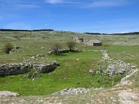 F, Lozere, Meyrueis 3, Saxifraga-Elisabeth Raboin