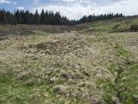 F, Lozere, Pont-de-Montvert-Sud-Mont-Lozere, Col de Finiels 13, Saxifraga-Willem van Kruijsbergen