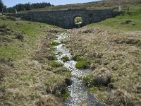 F, Lozere, Pont-de-Montvert-Sud-Mont-Lozere, Col de Finiels 16, Saxifraga-Willem van Kruijsbergen