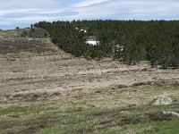 F, Lozere, Pont-de-Montvert-Sud-Mont-Lozere, Col de Finiels 19, Saxifraga-Willem van Kruijsbergen