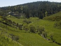 F, Lozere, Pont-de-Montvert-Sud-Mont-Lozere, Felgerolles 3, Saxifraga-Marijke Verhagen