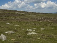 F, Lozere, Pont-de-Montvert-Sud-Mont-Lozere, Finiels 3, Saxifraga-Marijke Verhagen