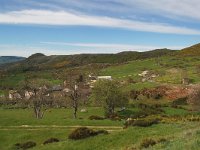 F, Lozere, Pont-de-Montvert-Sud-Mont-Lozere, Finiels 31, Saxifraga-Annemiek Bouwman