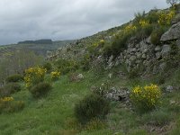 F, Lozere, Pont-de-Montvert-Sud-Mont-Lozere, Fraissinet-de-Lozere 7, Saxifraga-Willem van Kruijsbergen