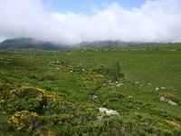 F, Lozere, Pont-de-Montvert-Sud-Mont-Lozere, Mont Lozere 6, Saxifraga-Dirk Hilbers