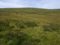 F, Lozere, Pont-de-Montvert-Sud-Mont-Lozere, Pic de Finiels 35, Saxifraga-Dirk Hilbers