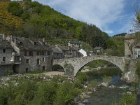 F, Lozere, Pont-de-Montvert-Sud-Mont-Lozere, Pont-de-Montvert 14, Saxifraga-Willem van Kruijsbergen