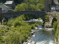 F, Lozere, Pont-de-Montvert-Sud-Mont-Lozere, Pont-de-Montvert 5, Saxifraga-Marijke Verhagen