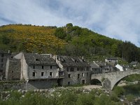 F, Lozere, Pont-de-Montvert-Sud-Mont-Lozere, Pont-de-Montvert 6, Saxifraga-Willem van Kruijsbergen