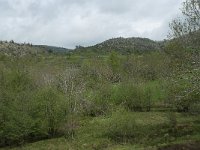 F, Lozere, Pont-de-Montvert-Sud-Mont-Lozere, Runes 5, Saxifraga-Willem van Kruijsbergen