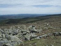 F, Lozere, Pont-de-Montvert-Sud-Mont-Lozere, Sommet de Finiels 37, Saxifraga-Willem van Kruijsbergen