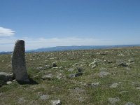 F, Lozere, Pont-de-Montvert-Sud-Mont-Lozere, Sommet de Finiels 49, Saxifraga-Willem van Kruijsbergen