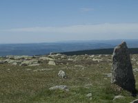 F, Lozere, Pont-de-Montvert-Sud-Mont-Lozere, Sommet de Finiels 54, Saxifraga-Willem van Kruijsbergen