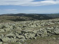 F, Lozere, Pont-de-Montvert-Sud-Mont-Lozere, Sommet de Finiels 78, Saxifraga-Willem van Kruijsbergen