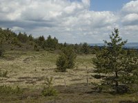 F, Lozere, Saint-Etienne-du-Valdonnez 7, Saxifraga-Marijke Verhagen