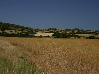 F, Lozere, Sainte-Eulalie 3, Saxifraga-Dirk Hilbers