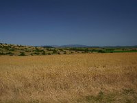 F, Lozere, Sainte-Eulalie 5, Saxifraga-Dirk Hilbers