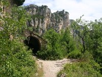 F, Lozere, Tarn 13, Saxifraga-Dirk Hilbers