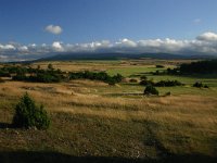 F, Lozere, Vebron, Can de l hospitalet 1, Saxifraga-Dirk Hilbers