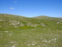 F, Lozere, Vebron, Villeneuve 2, Saxifraga-Elisabeth Raboin