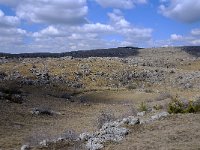 F, Lozere, Vebron, Villeneuve 3, Saxifraga-Elisabeth Raboin