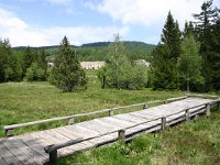 F, Lozere, Villefort, Mas de la Barque 3, Saxifraga-Dirk Hilbers