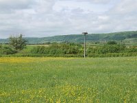 F, Meuse, Heudicourt-sous-les-Cotes, near Lac de Madine, Saxifraga-Tom Heijnen