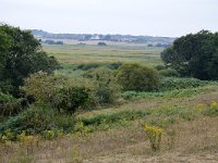 F, Morbihan, Guidel, Guidel Plage 3, Saxifraga-Theo Verstrael