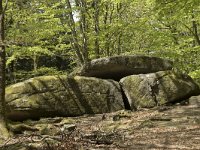 F, Nievre, Dun-les-Places, Dolmen Chevresse 2, Saxifraga-Willem van Kruijsbergen