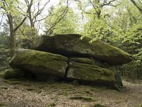 F, Nievre, Dun-les-Places, Dolmen Chevresse 4, Saxifraga-Willem van Kruijsbergen