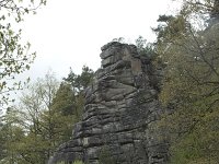 F, Nievre, Dun-les-Places, Roches du Chien 1, Saxifraga-Willem van Kruijsbergen