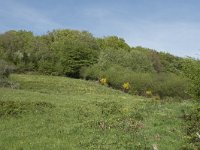 F, Nievre, Dun-les-Places, les Pres des Cheventes 10, Saxifraga-Willem van Kruijsbergen