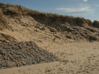 F, Pas-de-Calais, Ambleteuse, Dunes de la Slack 3, Saxifraga-Jan van der Straaten