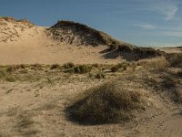 F, Pas-de-Calais, Ambleteuse, Dunes de la Slack 6, Saxifraga-Jan van der Straaten