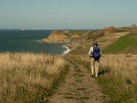 F, Pas-de-Calais, Audresselles 8, Saxifraga-Jan van der Straaten