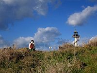 F, Pas-de-Calais, Equihen-Plage, Cap d Alprech 3, Saxifraga-Hans Dekker