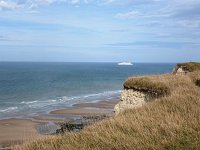 F, Pas-de-Calais, Escalles, Cap Blanc Nez 9, Saxifraga-Hans Dekker