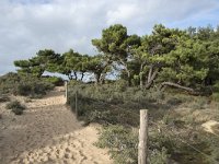 F, Pas-de-Calais, Wimereux, Dunes de la Slack 34, Saxifraga-Willem van Kruijsbergen