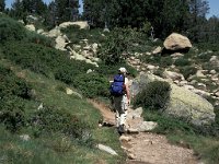 F, Pyrenees Orientales, Angoustrine-Villeneuve-des-Escaldes, La Bollosa 1, Saxifraga-Jan van der Straaten