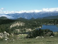 F, Pyrenees Orientales, Angoustrine-villeneuve-des-escaldes, Estany Llong 4, Saxifraga-Jan van der Straaten