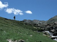 F, Pyrenees Orientales, Angoustrine-villeneuve-des-escaldes, Estany de Castella 1, Saxifraga-Jan van der Straaten