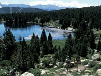 F, Pyrenees Orientales, Angoustrine-villeneuve-des-escaldes, Estany del Viver 1, Saxifraga-Jan van der Straaten