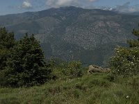 F, Pyrenees Orientales, Vernet-les-Bains 3, Saxifraga-Jan van der Straaten