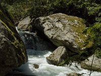 F, Pyrenees Orientales, Vernet-les-Bains, Gorges du Cady 3, Saxifraga-Jan van der Straaten