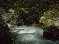 F, Pyrenees Orientales, Vernet-les-Bains, Gorges du Cady 7, Saxifraga-Jan van der Straaten