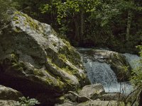 F, Pyrenees Orientales, Vernet-les-Bains, Gorges du Cady 8, Saxifraga-Jan van der Straaten