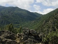 F, Pyrenees Orientales, Vernet-les-Bains, Pid d Alzina1, Saxifraga-Jan van der Straaten