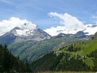 F, Savoie, Val-Cenis, Parc national de la Vanoise near Bellecombe 2, Saxifraga-Tom Heijnen