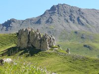 F, Savoie, Val-Cenis, Parc national de la Vanoise near Bellecombe 9, Saxifraga-Tom Heijnen