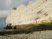 F, Seine-Maritime, Etretat 32, Saxifraga-Willem van Kruijsbergen